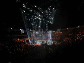 Imagen de Artes marciales mixtas - 1