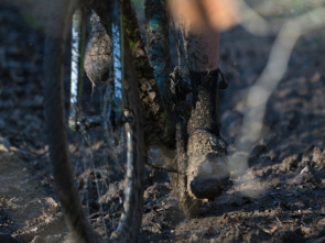 Imagen de Ciclocross... (25/26): Carrera M - 1