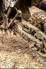 MXGP de España (2025): MXGP - Segunda carrera