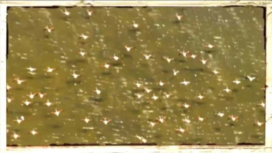 Imagen de Riu avall: Segre 1 - 3