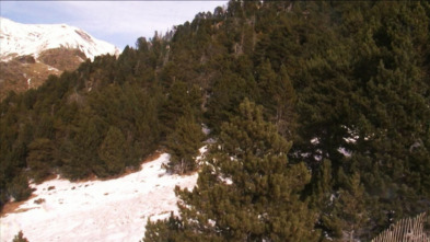 Imagen de Xarxa Natura: Riera de Merlès - 3