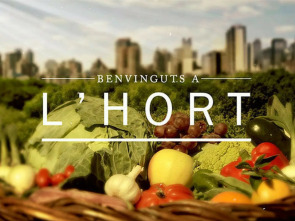 Benvinguts a l'hort: Carxofes