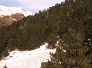 Imagen de Xarxa Natura: Riera de Merlès - 1
