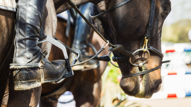 Imagen de Asiático de equitación - Resumen - 8
