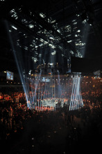 Imagen de Artes marciales mixtas - 7
