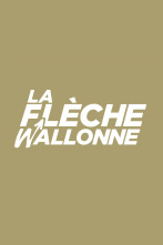 UCI World Tour (2025): Flecha Valona M