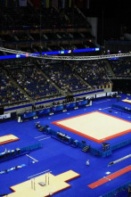 Imagen de Universiada - Gimnasia artística (2025) - 2