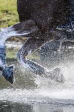 Imagen de AlUla Desert Polo - Resumen - 7