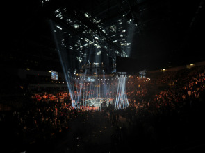 Imagen de Artes marciales mixtas - 2