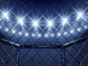 Imagen de UFC Fight Night: Imavov vs. Borralho (2025) - 1