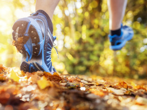 Imagen de Golden Trail... (2026): Quebec - 2