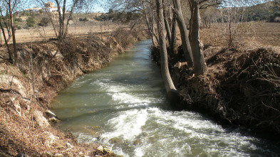 Imagen de Ni, Zidakos - 3
