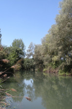 Imagen de Ni, Zidakos - 2