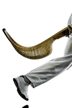 Cesta punta