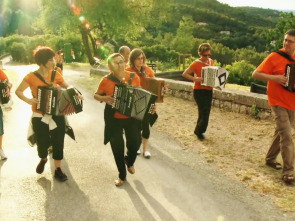 Imagen de Trikifollia - 1