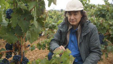 Imagen de Wineman (T4): Ribera y Tierra de Castilla - 3