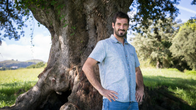 Imagen de Historias a Bocados (T2017) - 3
