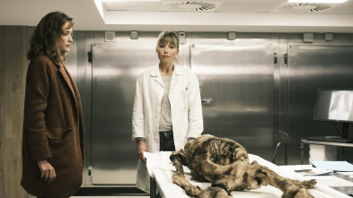 Imagen de Los Desaparecidos en la Selva - 3