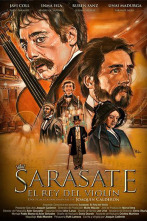 Imagen de Sarasate, el rey del violín - 2