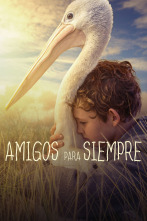 Imagen de Amigos para siempre - 2
