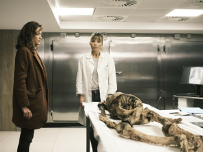 Imagen de Los Desaparecidos en la Selva - 1