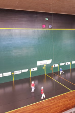 Imagen de Zesta punta - 2