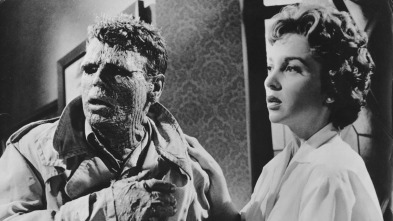 Imagen de La saga de Hemp Brown - 3