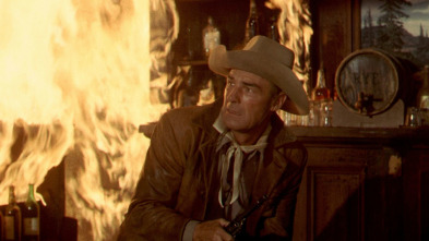 Imagen de El forastero iba armado - 3