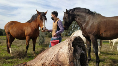 Extremadura a caballo