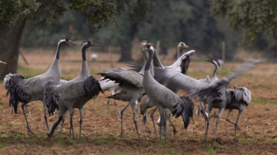 Imagen de Extremadura, el paraíso natural de Europa - 3