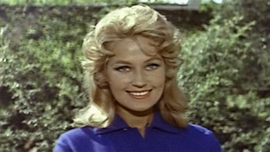 Imagen de Luna de verano - 3