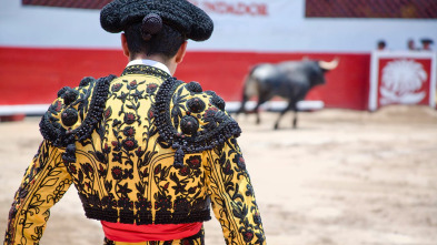 Imagen de XIV Certamen de Novilladas de la Diputación de Badajoz - Toros desde herrera del duque - 3