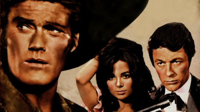 Imagen de Noche de violencia - 3