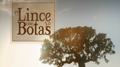 Imagen de El lince con botas 3.0 - 3