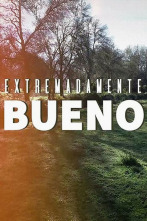 Imagen de Extremadamente bueno - 2