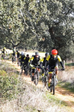 Imagen de A piñón fijo - 2