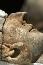 Imagen de Tarteso, un reflejo en el Guadiana - 2