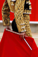 Imagen de Tierra de toros - 2