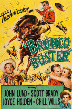 Imagen de Bronco Buster - 2