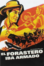 Imagen de El forastero iba armado - 2