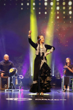 Imagen de Festival de la canción de Extremadura - 2