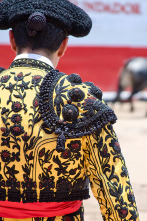 Imagen de XIV Certamen de Novilladas de la Diputación de Badajoz - Toros desde herrera del duque - 2