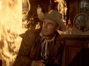 Imagen de El forastero iba armado - 1