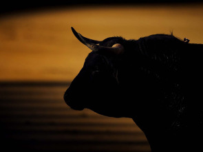 Imagen de Toros ''Día de Extremadura'' desde Don Benito - 1