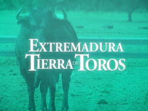 Imagen de Tierra de toros - 1