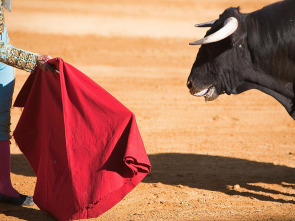 Imagen de Toros desde Barcarrota - 1