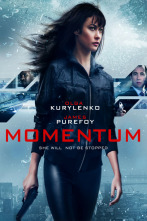 Imagen de Momentum - 2