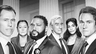 Imagen de Ley y orden (T21): Ep.3 Vida filtrada - 4