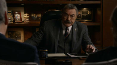 Blue Bloods (T14): Ep.17 Privilegios