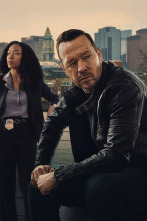Imagen de Boston Blue (T1): Ep.10 Verdades dolorosas - 4